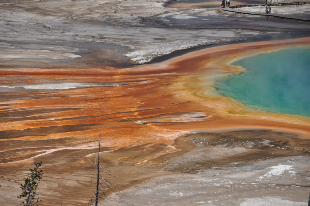 Spring Marging Grand Prismatic Spring's margin (5 June 2013) 04 | Grand Pri… | Flickr