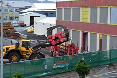 Timber in New Zealand