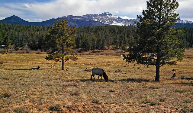 Rocky Mountain National Park Edited Cell Phone Pic