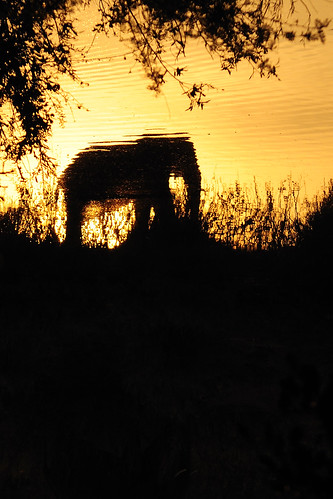 elephant reflection evening nikon zimbabwe d90 zwe gonarezhou nikond90 runderiver chipindapools
