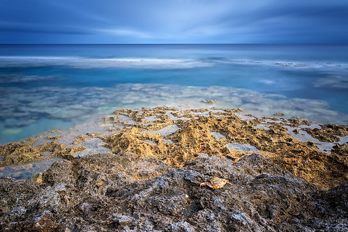 ocean longexposure seascape coral landscape polynesia crab pacificocean limestone reef pacificisland niue reefflats