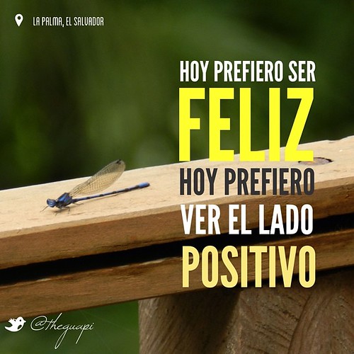 Hoy prefiero confiar en Dios!!#happy #godisgood #godisgreat #instaquote #instagood | by theguapi