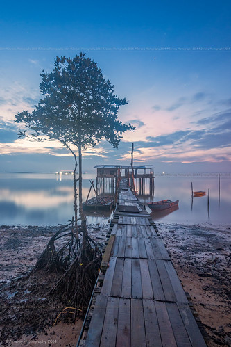 morning blue sea portrait reflection tree beach broken nature water rural sunrise landscape photography dawn wooden sand nikon singapore long exposure raw body path jetty smooth calm single hour smell serenity malaysia lone format moment fullframe nikkor dslr fx scape kampong magnificent johor silky tanjung d800 dx bahru 2014 outskirt tanjong langsat 1024mm flispy