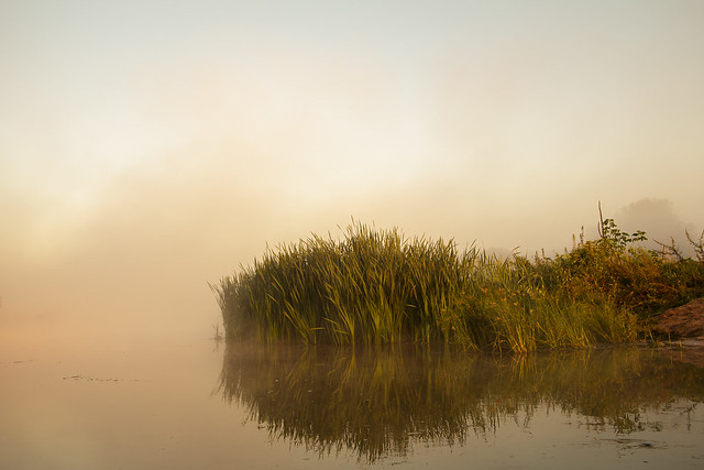 Туманное утро на реке Оскол