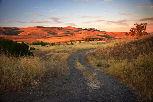 california road ca sunset usa hill sanfranciscobayarea bayarea coyotecreek bicycletrail coyote goldenhour