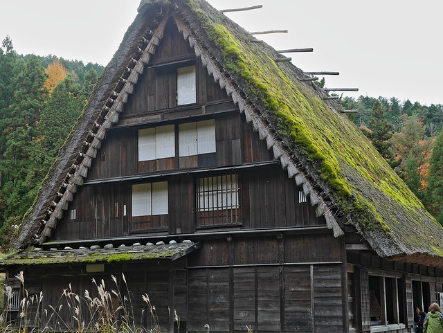 Wakayama's House, Hida Folk Village
