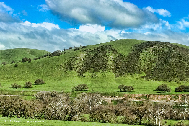 The Green Green Hills of California