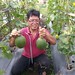 Melon hamikwa