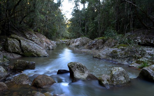 nature water rock creek landscape rainforest stream australia nsw slowshutter australianlandscape lateafternoon slowwater northernrivers tweedvalley streamscape couchycreek afternoonlandscape chillinghamvolcanics