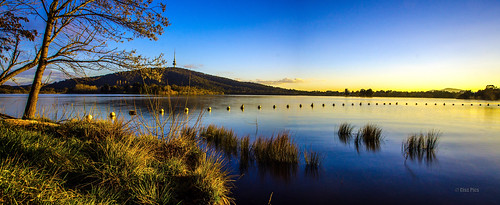panorama lake sunrise nikon panoramic canberra griffin stitched burley dx 18200mm yarralumla d7000