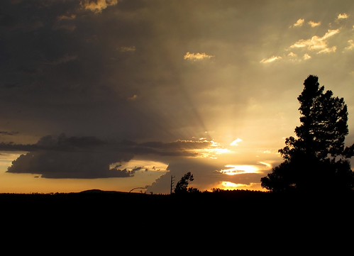 The End by zoniedude1, According to the calendar, the end of Monsoon 2014 is today.  Meteorologically speaking, it ended wi