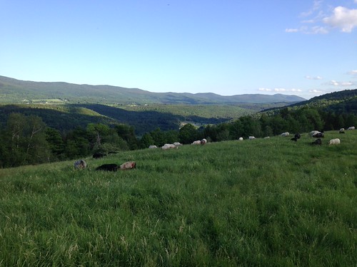The views at Knoll Farm, icelandicsheep knollfarm