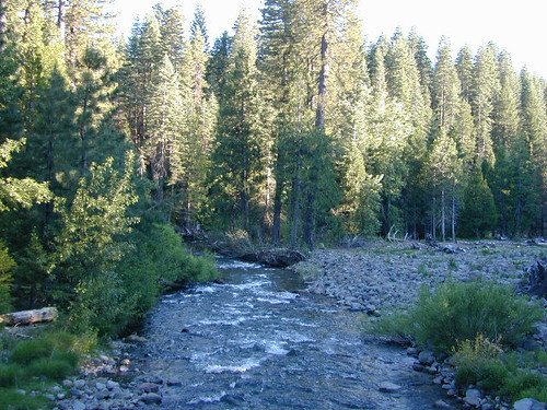 Butte Creek, Butte Meadows