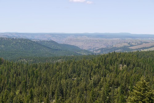 oregon easternoregon dryforest desolationcreek