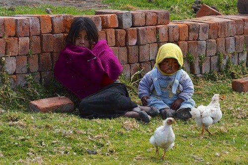 Children and chicks