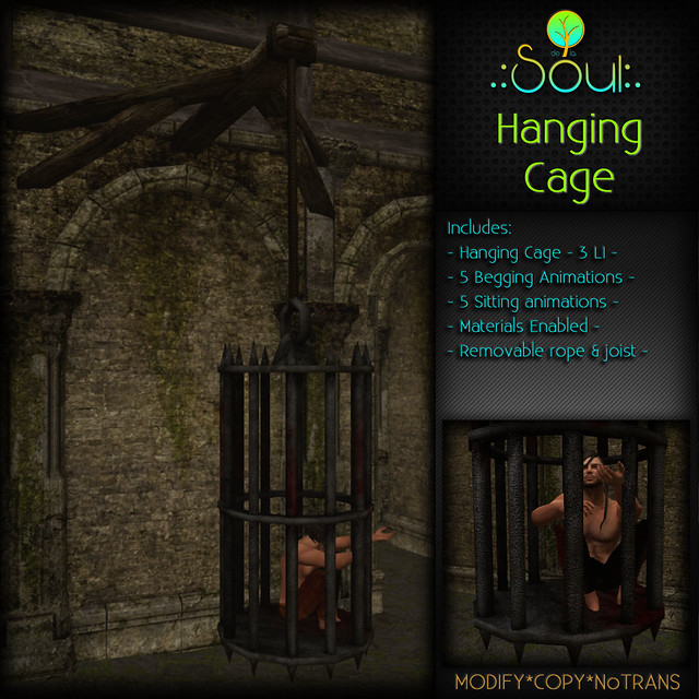 2014 Hanging Cage