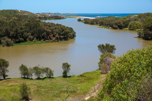 river westernaustralia dongara irwinriver yarinumuraja dhunggawa placeofseals flowsinflood