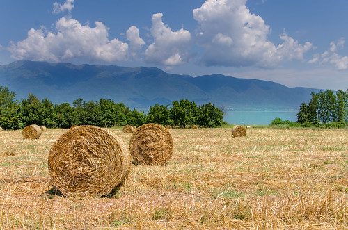 mountain lake field landscape hellas greece macedonia midday 25mm 2014 kerkini κερκίνη d7000