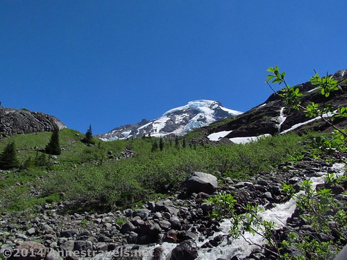 Mt. Baker from the Heliotrope Divide Trail, Mount Baker-Snoqualmie National Forest, Washington
