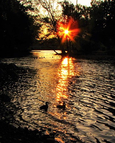 Sunset on the St. Joseph River by tquist24, sunset summer reflection canon reflections river geotagged evening du