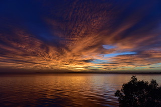 Sunrise, Lota, Australia March 8