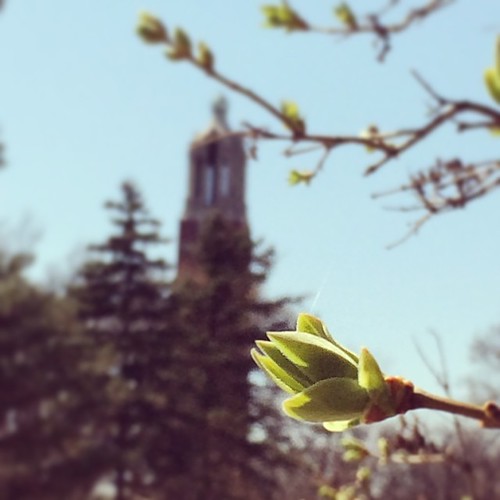 Green leaves and blue skies are finally making an appearance after a long winter. #sdstate