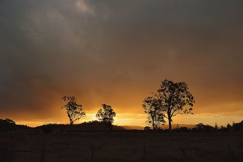 winter sunset fence landscape countryside sundown silhouettes overcast australia drought nsw showers australianlandscape sunshower paddock northernrivers rurallandscape sunsetlandscape forestredgum tuncester
