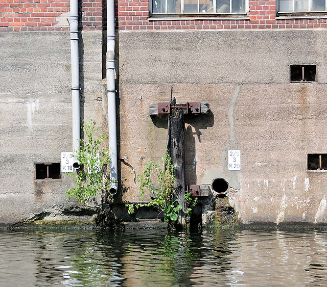 6225 Relikte vom Hafenbetrieb, Schiffsbetrieb im Billbrooker Kanal in Hamburg Billbrook - junge Grünpflanzen wachsen aus der Mauer eines Speichergebäudes.
