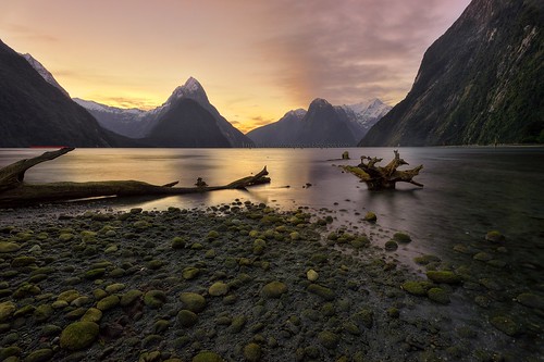 newzealand mountain rock stone moss driftwood nz lowtide milfordsound southland sunsetsunrise fiordland
