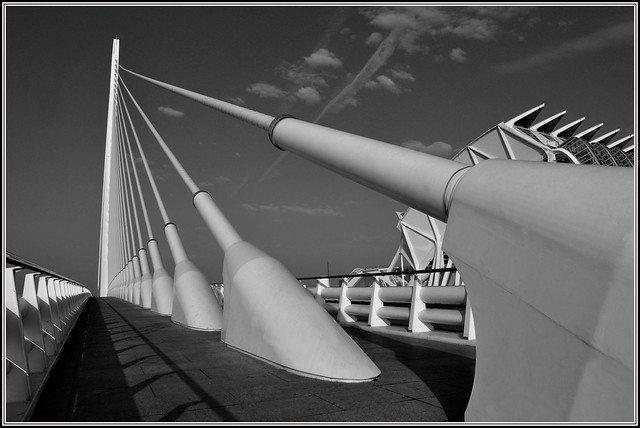 Calatrava Bridge Ciudad de ls Artes y las Ciencias Valencia