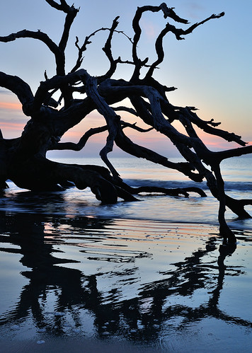 ocean park seascape sunrise island dawn state atlantic driftwood jekyll