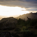 Picture of the hike