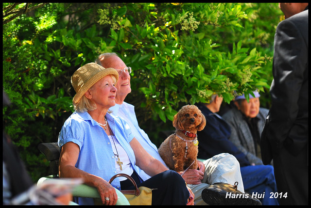 Happy Post-Retirement Life - Richmond Multicultural Festival N15156e
