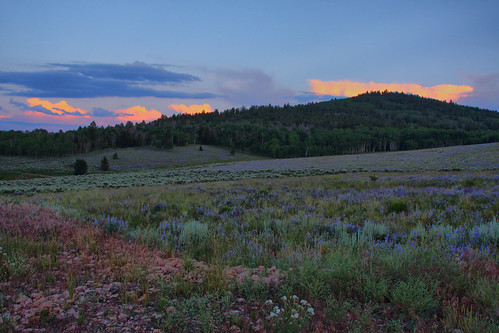 sunset sky grass high twilight colorado dynamic range hdr gunnison powderhorn