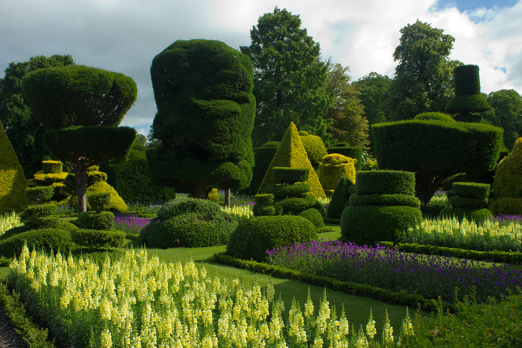 topiary at Levens Hall