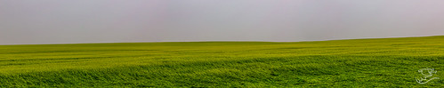 canada landscape farm alberta fields monoculture drewmayphotography