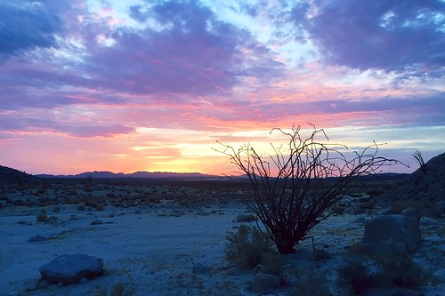 sunrise desert