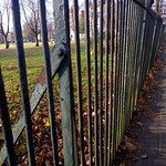 331. Green Fence