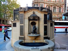 Queen Victoria Building Speaking Dog Fountain