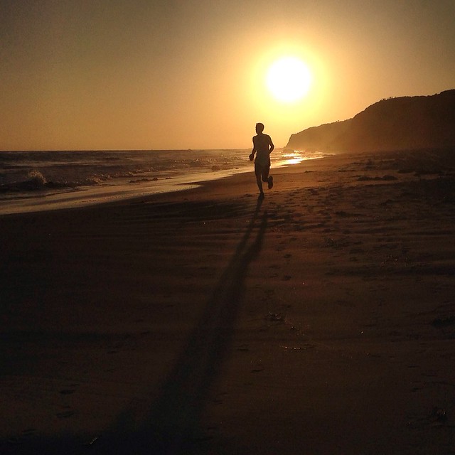 the sunset runner