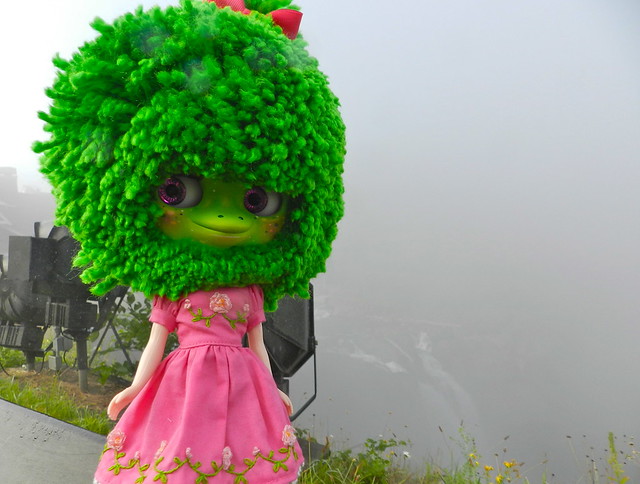 more photos from my blythecon trip...  doris -- so happy to have her with me now!  we went to the waterfall in snoqualmie on sunday but it was soooooo foggy you can barely make it out back there!