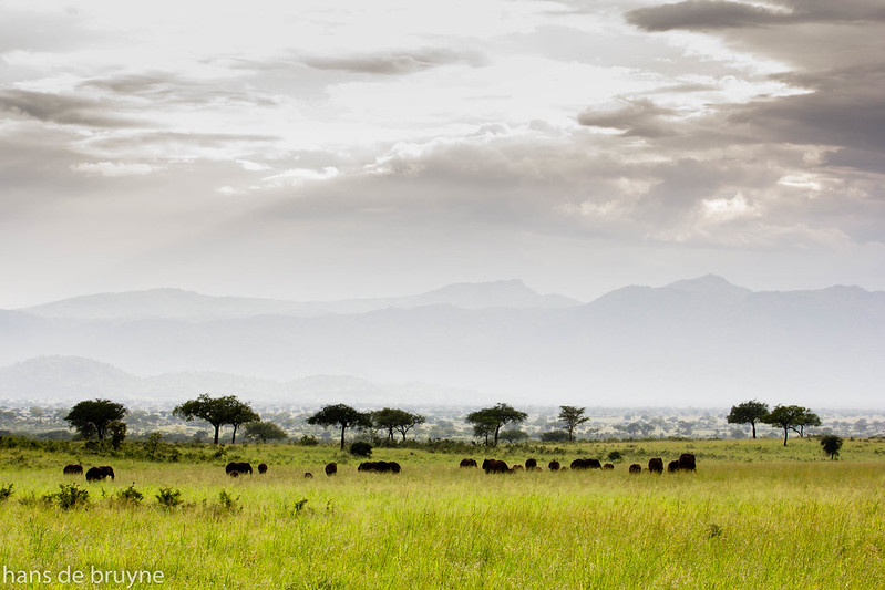 Kidepo National Park, Uganda