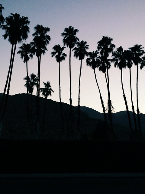 Evening in Palm Springs
