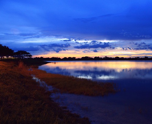 sunset lake reflection tree nature glass beauty silhouette skyscape landscape unitedstates natural shoreline dramatic symmetry clear layers canopy cloudscape floridaeverglades southflorida palmbeachcounty lakescape coolblues bocaratonflorida southcountyregionalpark