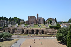 Blick auf Palatino vom Kolosseum aus 5