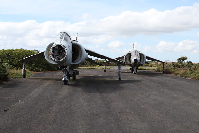 Retired Harriers.