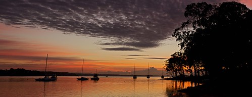 trees lake water silhouette sunrise boats 7d yachts relections wangi