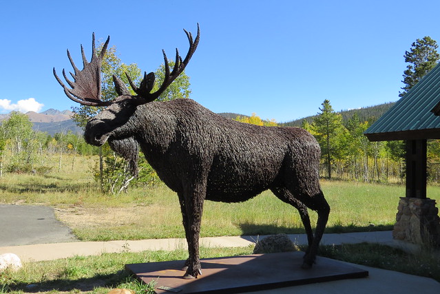 Moose at Moose Visitor Center