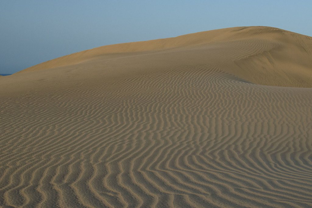 Sand ripples at Maspalomas sand dunes