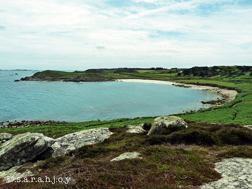 This Is Tresco Island | by Sarah Joy McCreadie